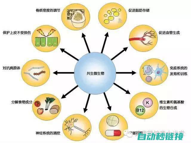 影响因素及最佳时长建议 (影响因素及最优分析)